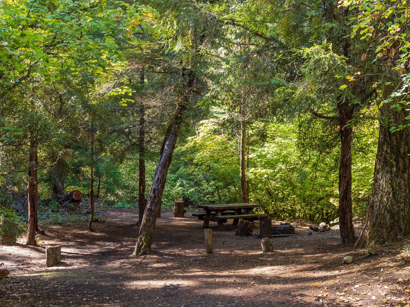 A typical campsite at Mill Creek Campground.