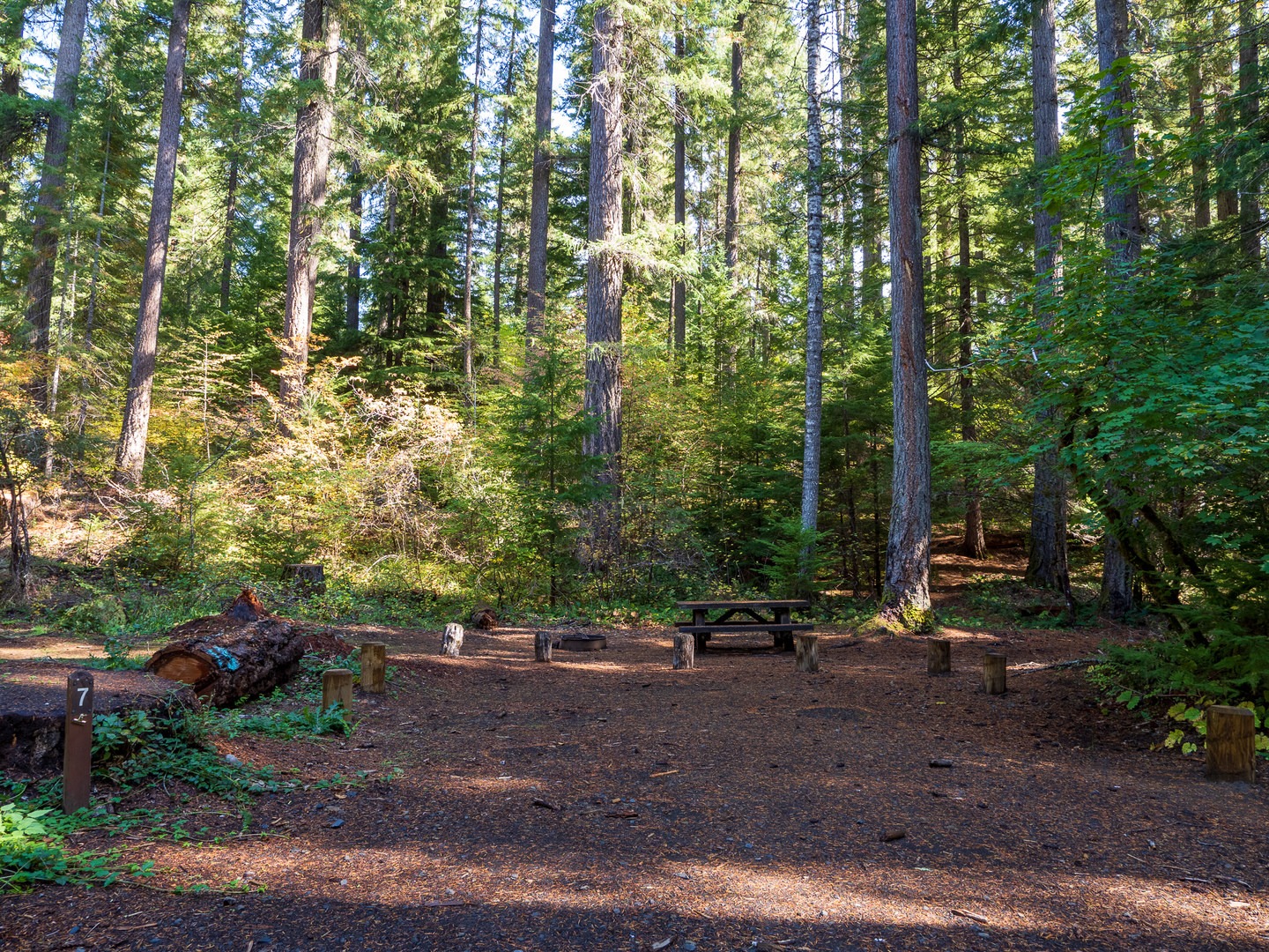 A typical campsite at River Bridge Campground.