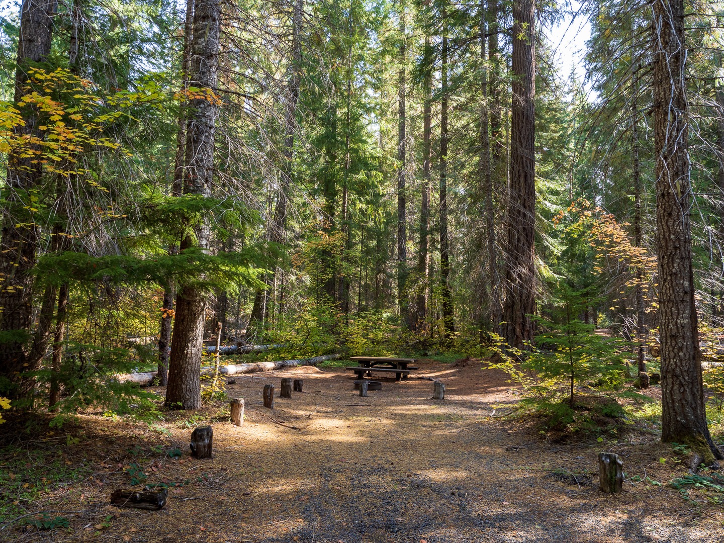 A typical campsite at Abbott Creek Campground.