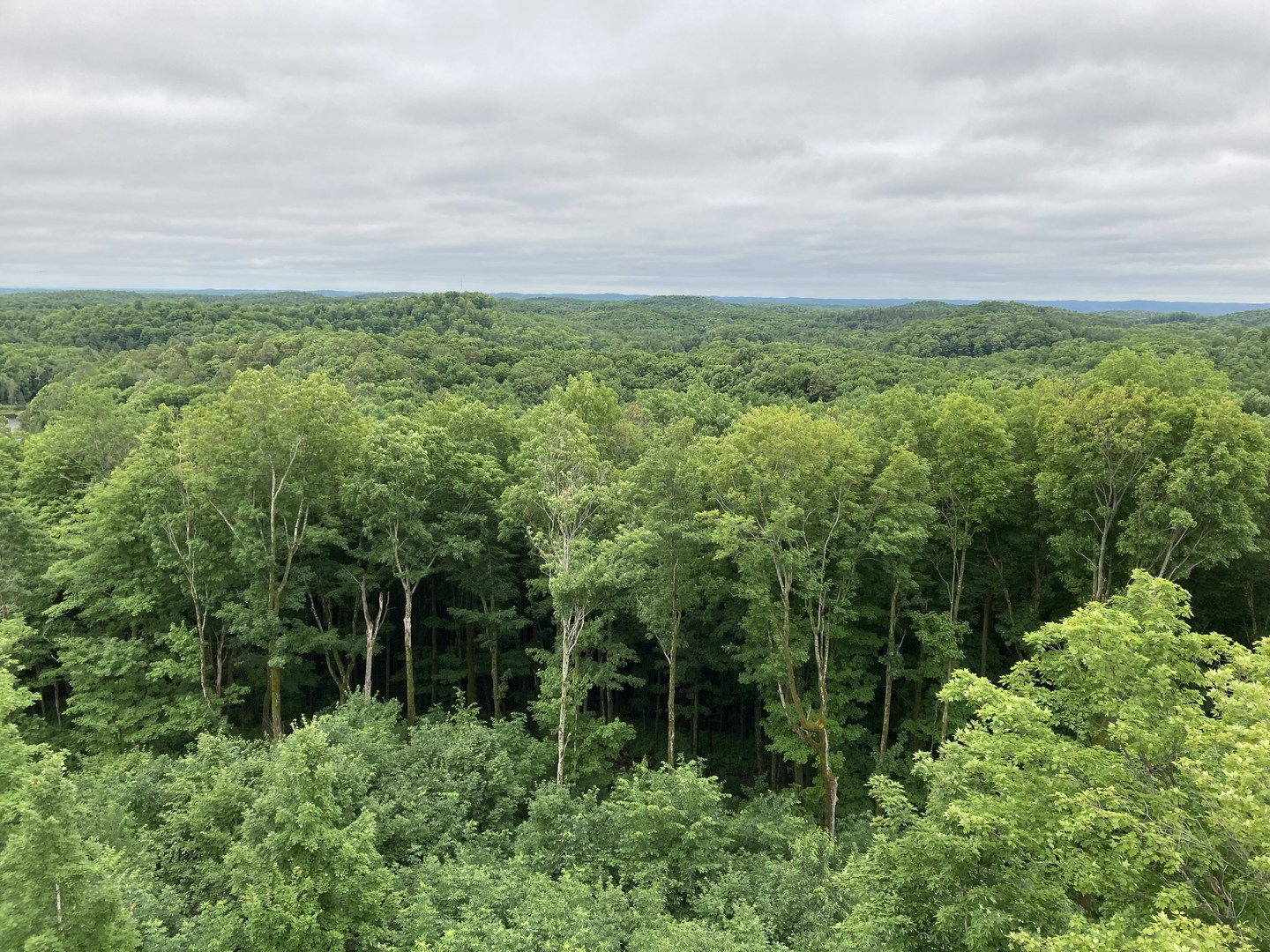 View from observation tower on Timm's Hill.