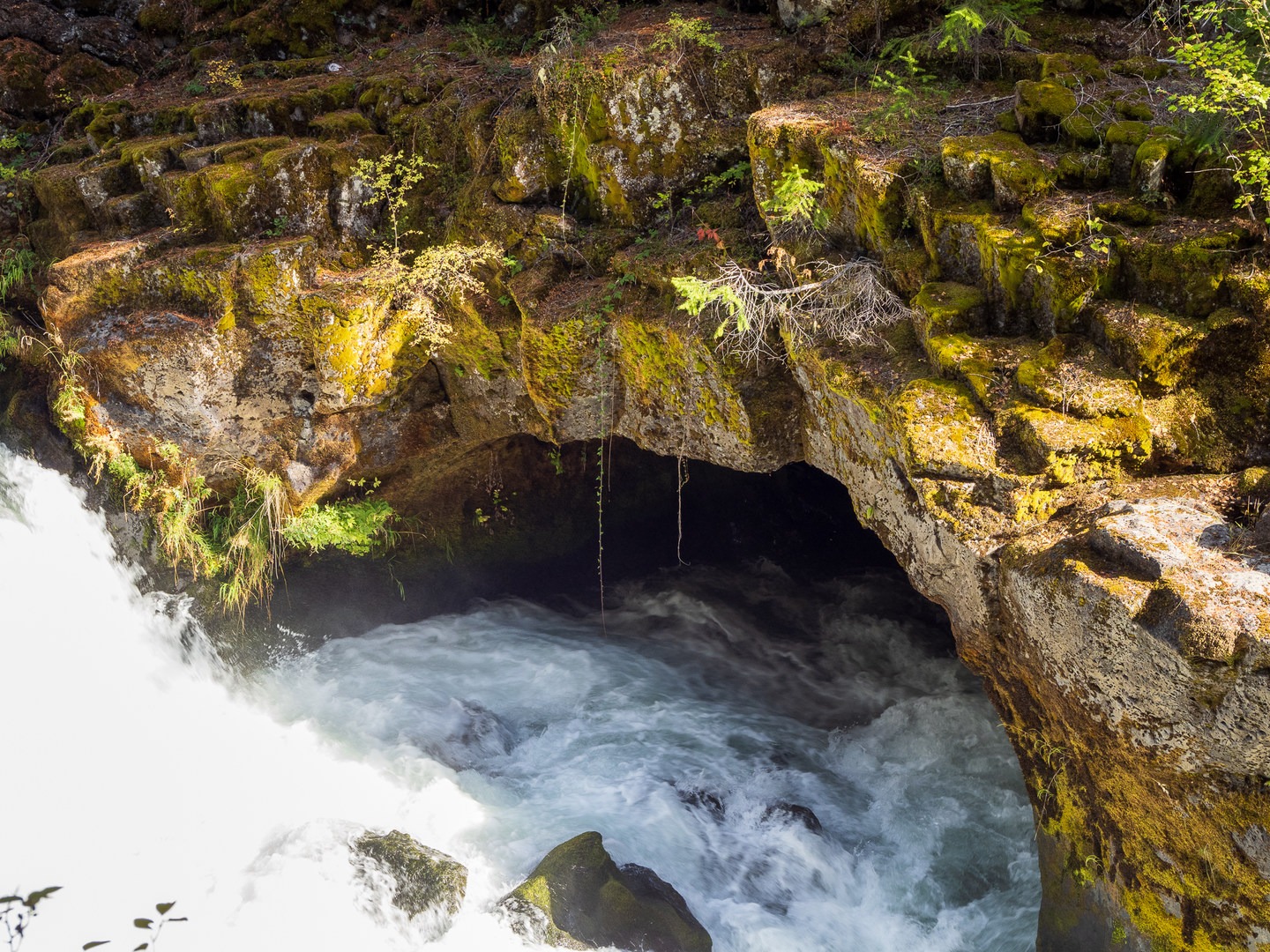 A small cavelike opening that is actually the entrance to a lava tube.