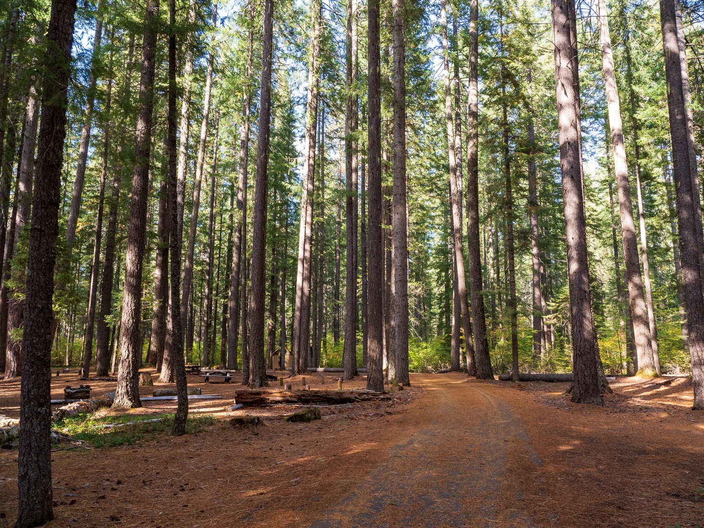 Union Creek Campground.