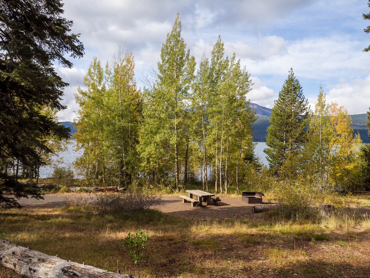 A typical campsite at Diamond Lake Campground.