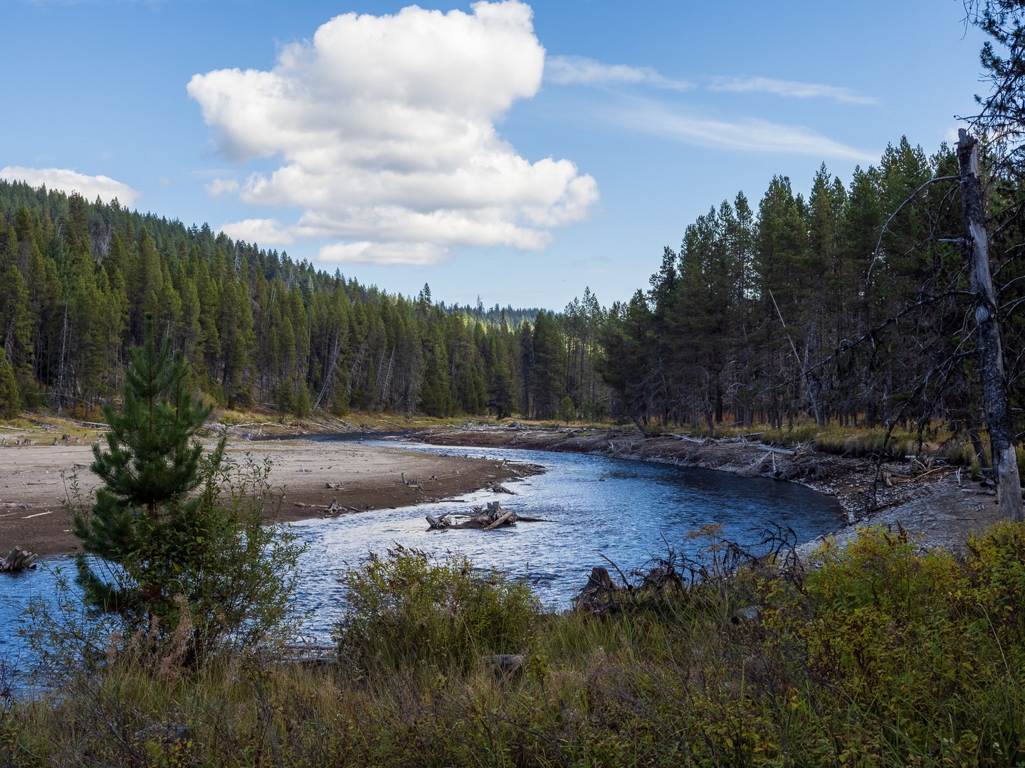 View of the eastern arm of Lemolo Lake from the campground.