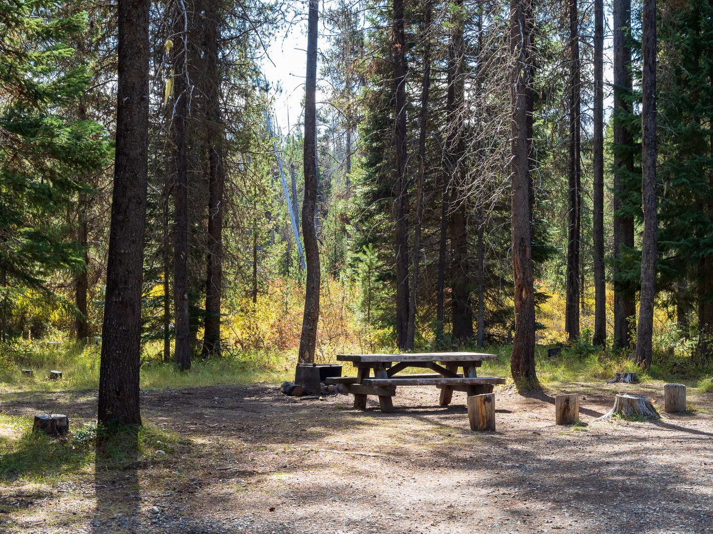 A typical campsite at Inlet Campground.
