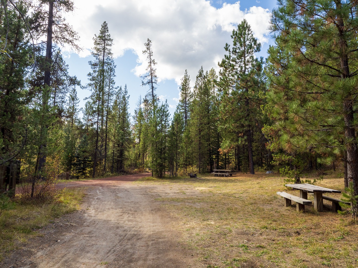Kelsay Valley Forest Camp.