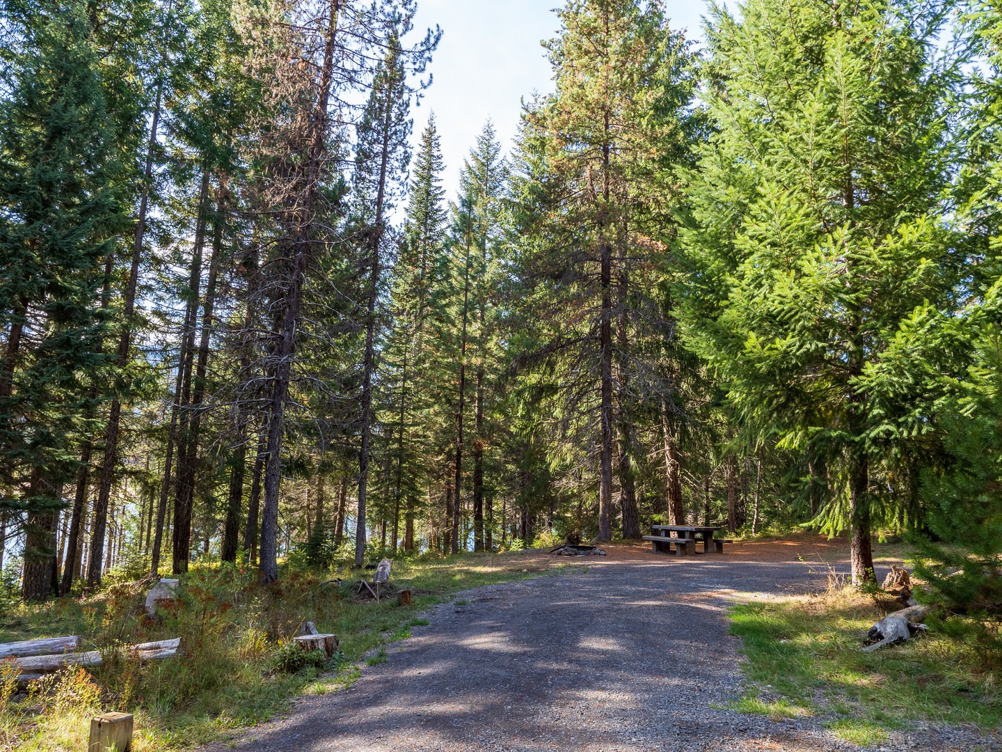 A typical campsite at Bunker Hill Campground.