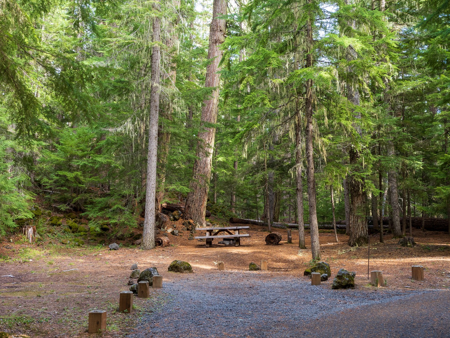 A typical campsite at Clearwater Falls Campground.