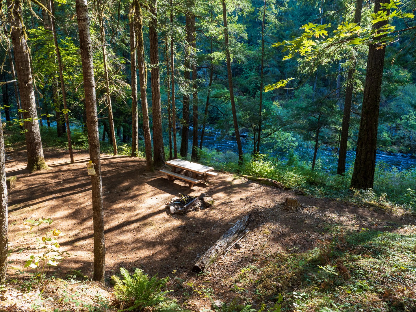 A typical campsite at Canton Creek Campground.