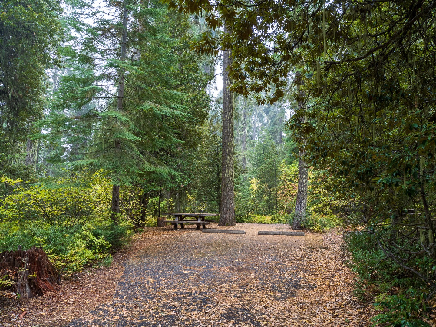 A typical campsite at Doe Point Campground.