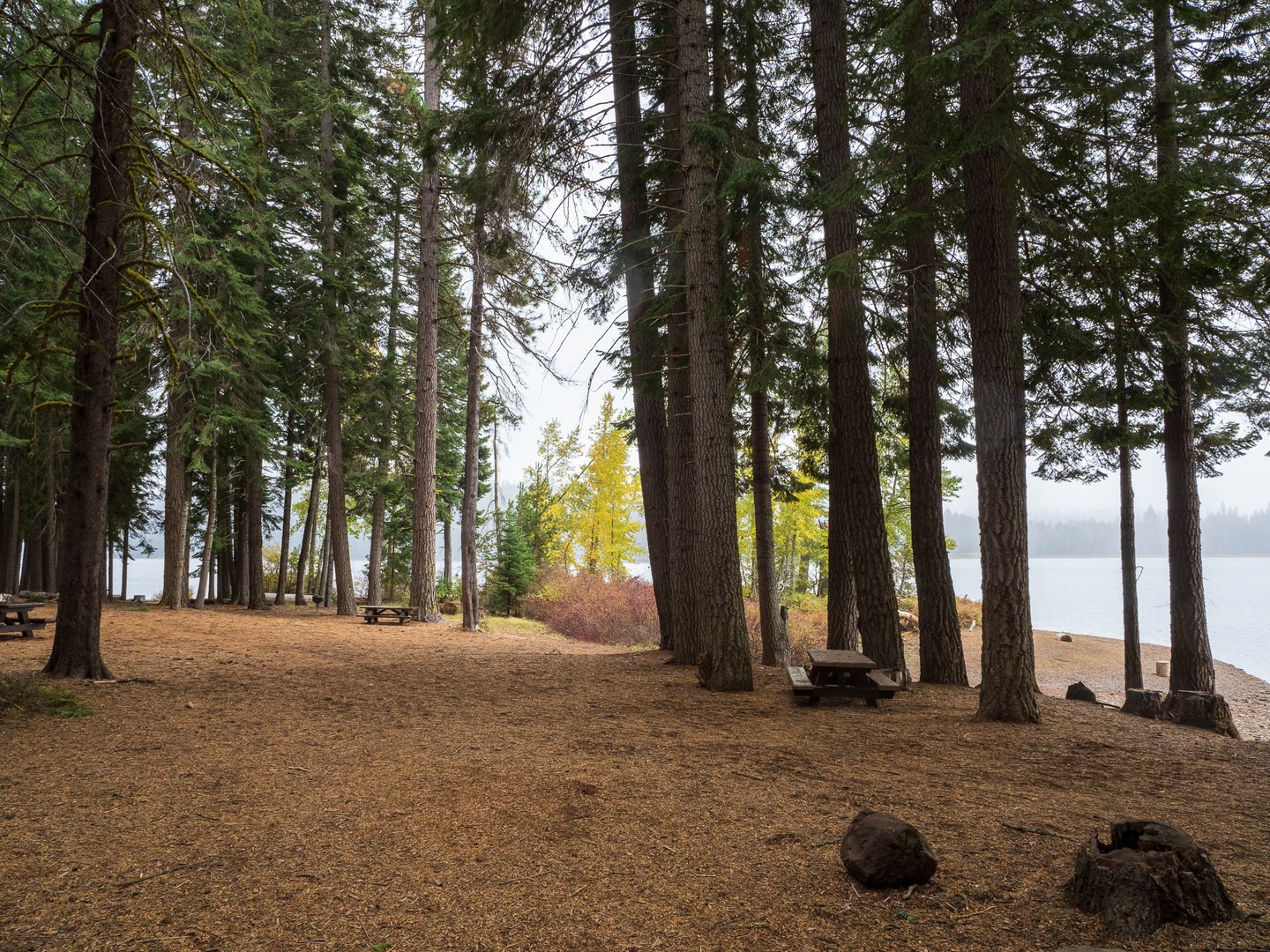Lake of the Woods as seen from camp.