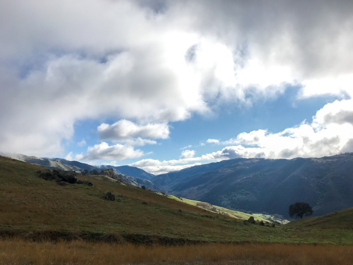 Views from Ohlone Wilderness Trail.