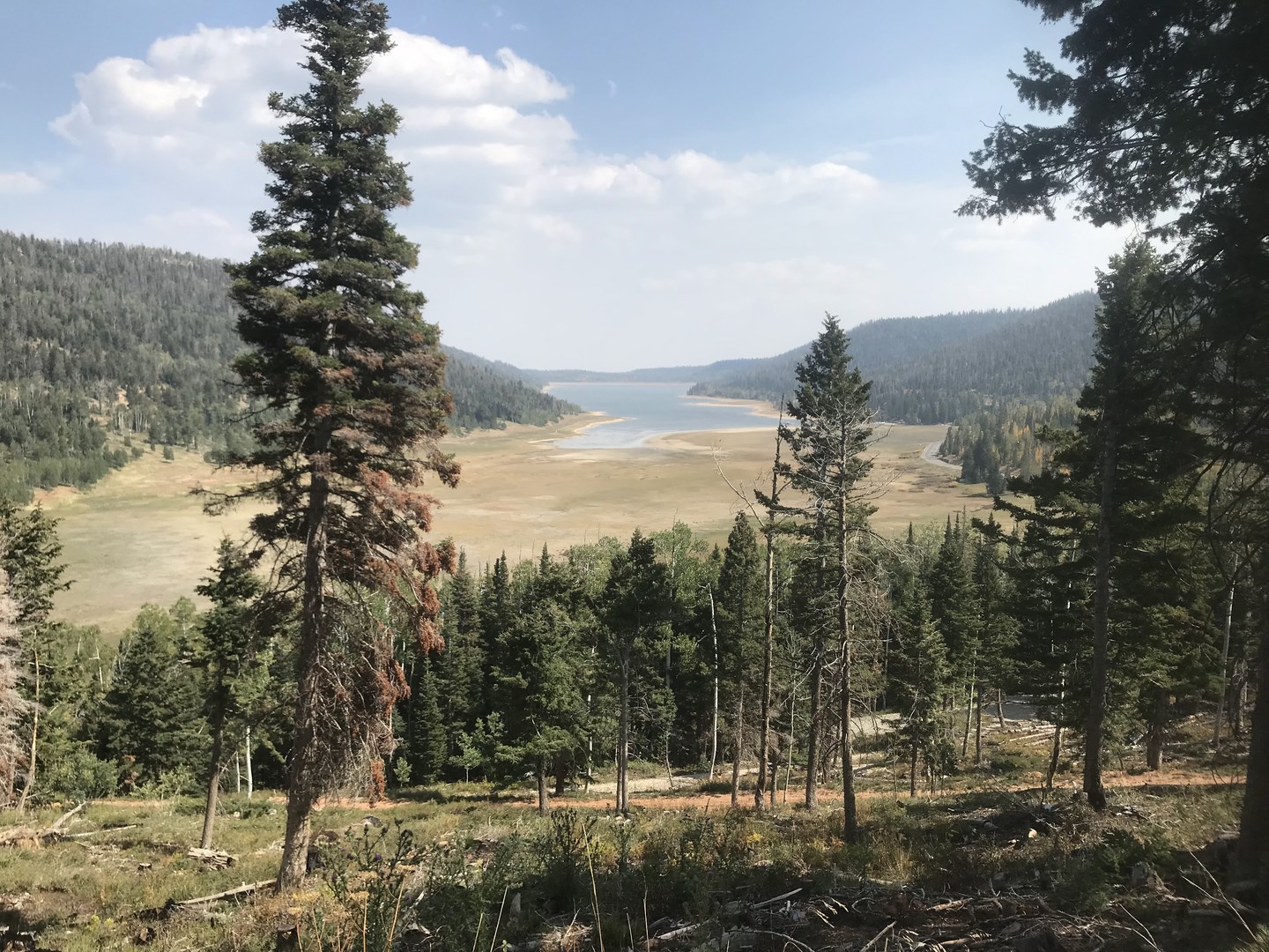 Lake view from trail.