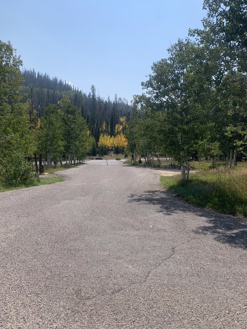 Te-Ah Campground - Road connecting campsites.