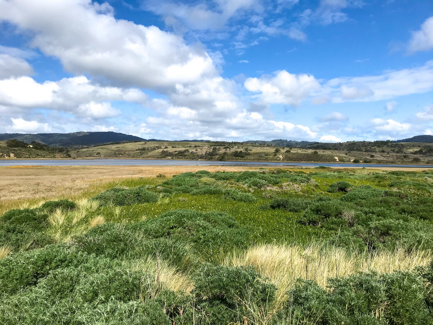 Limantour Beach as seen from Limantour Spit Trail.
