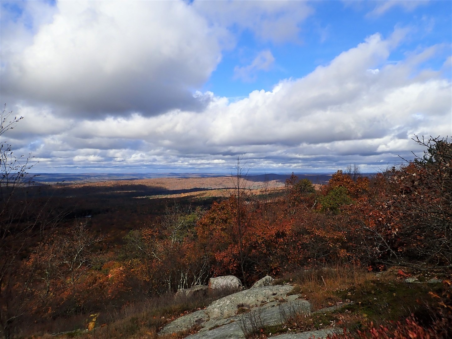 View along the AT in Stokes State Forest.