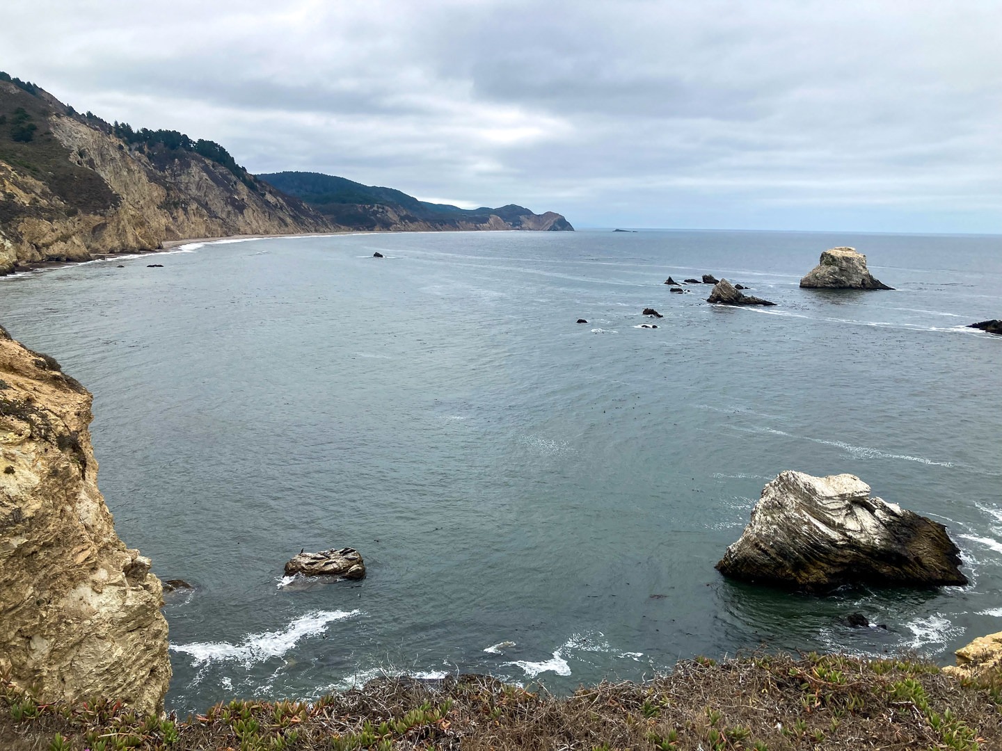 Southward view from Keyhole with seals on the rocks in the ocean.