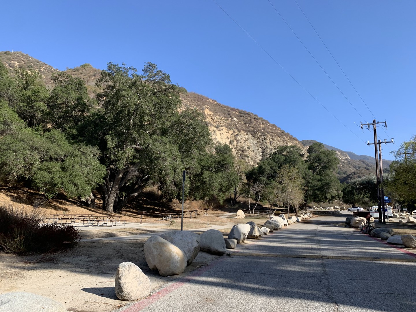 Road leading to picnic spots.