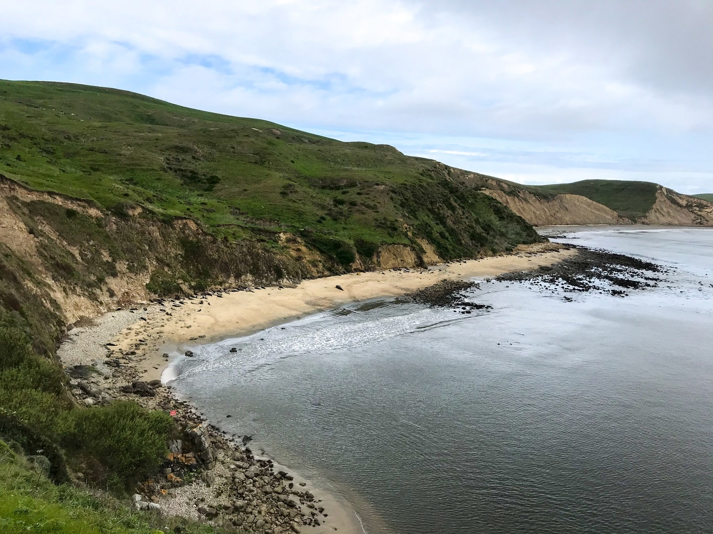 View from the Elephant Seal Overlook, beach elephant seals.