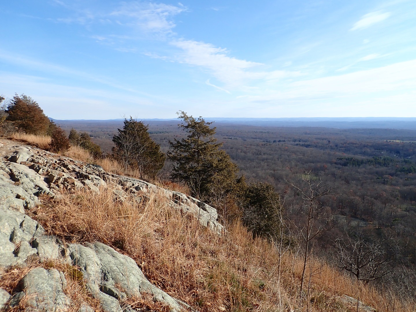 View looking east from the trail.