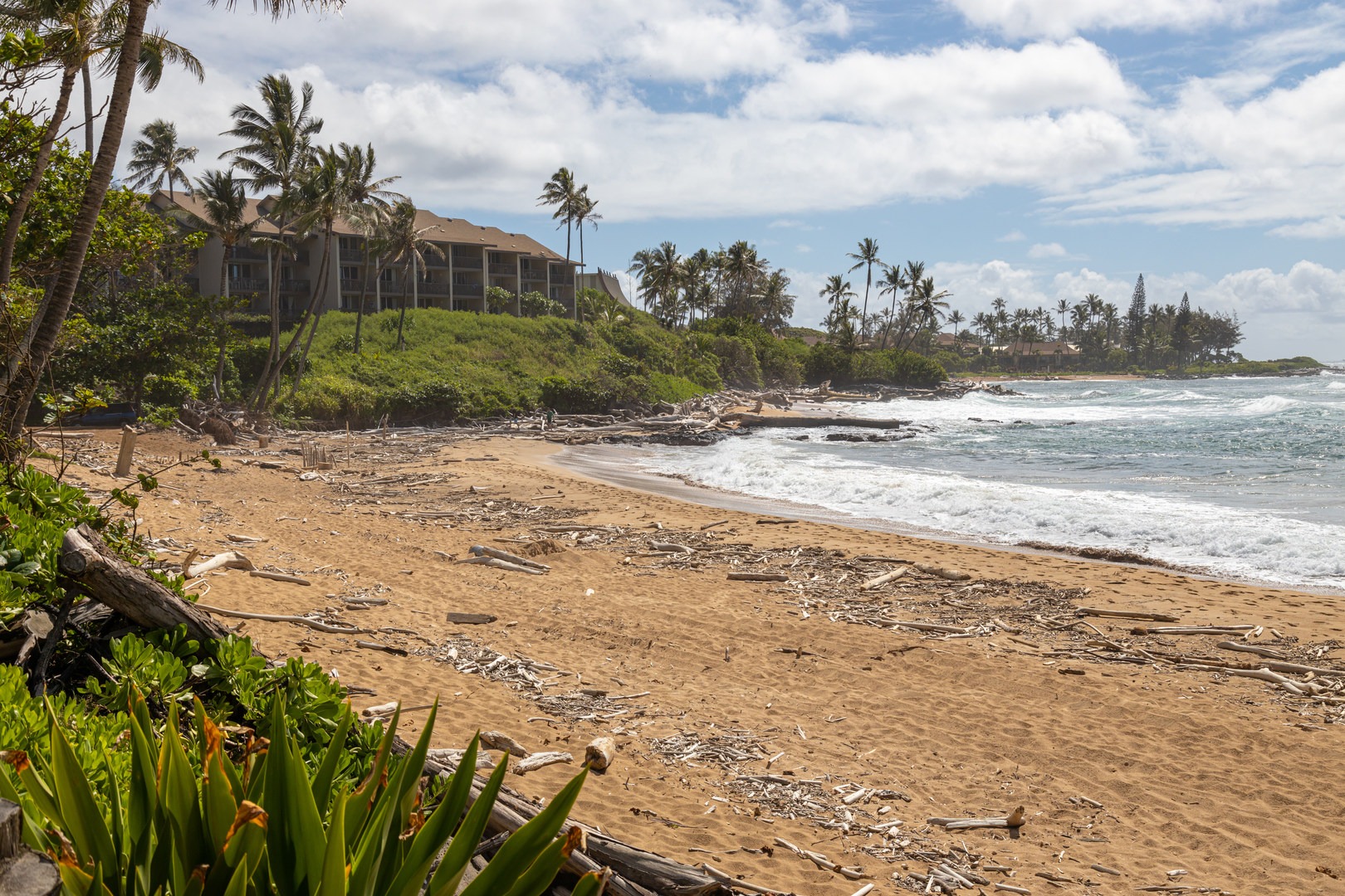 Several hotels and restaurants are set north of the beach, though the only walkway to the beach park is the public sidewalk.