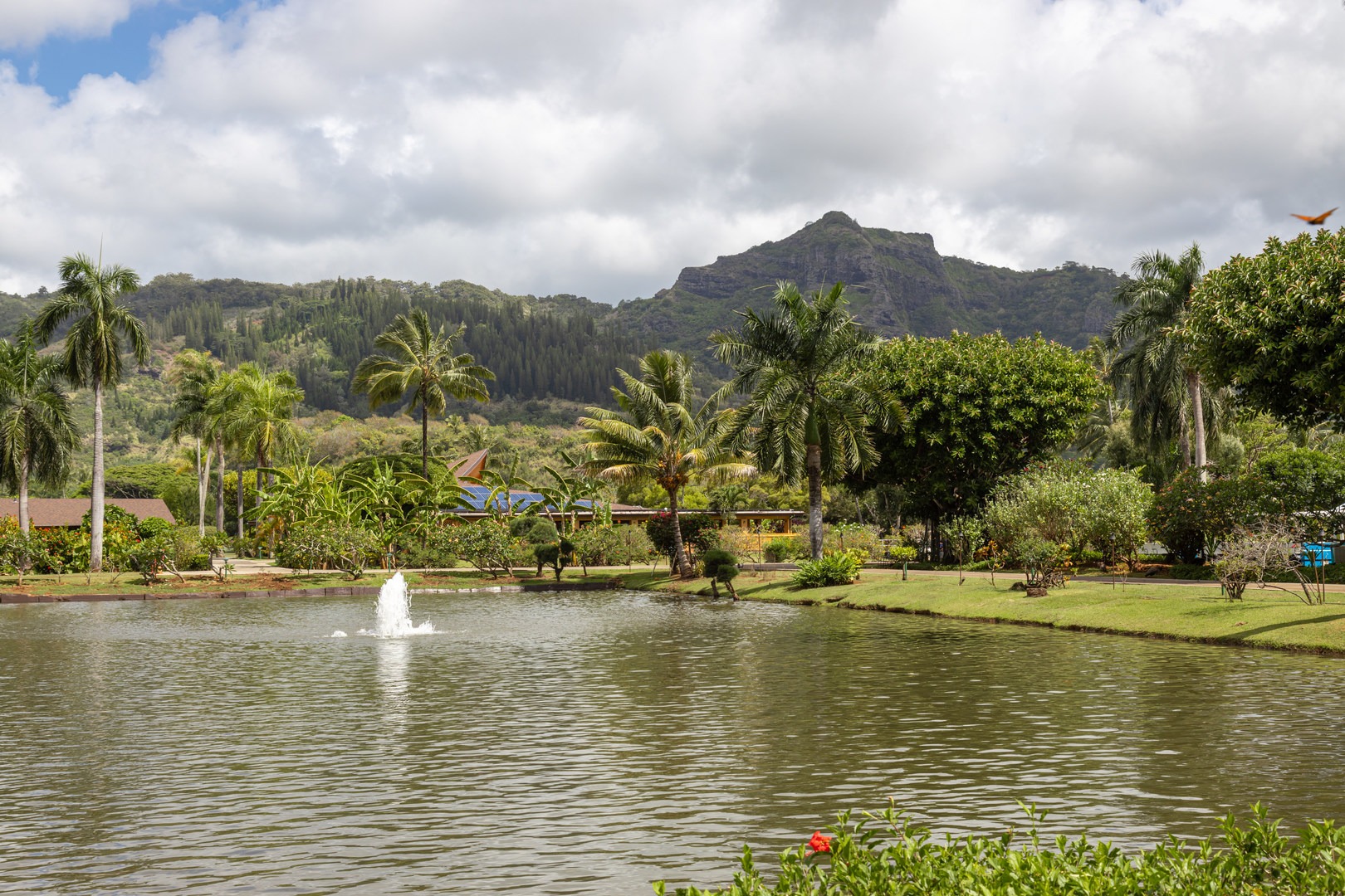 Set in Wailua Marina State Park, walking around Smith's grounds can be relaxing and offers views of the surrounding valley.