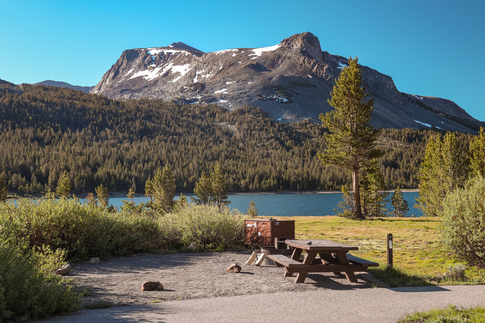 Sites 6-8 have prime locations beside Tioga Lake.