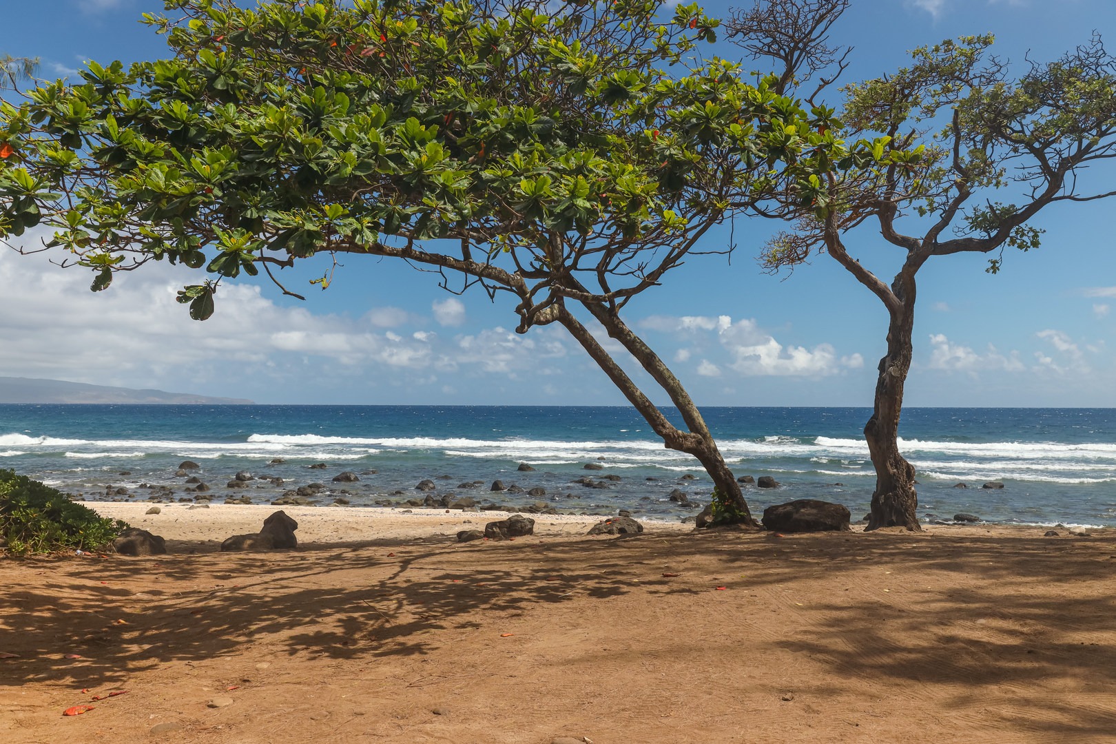 Shady shores at Punalau Beach.