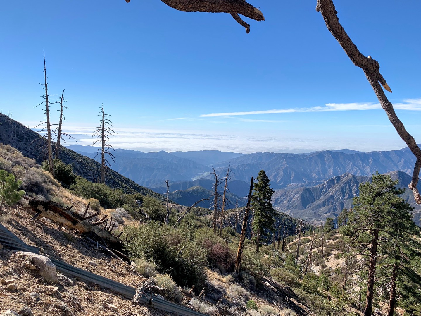 View from South Mount Hawkins Fire Road