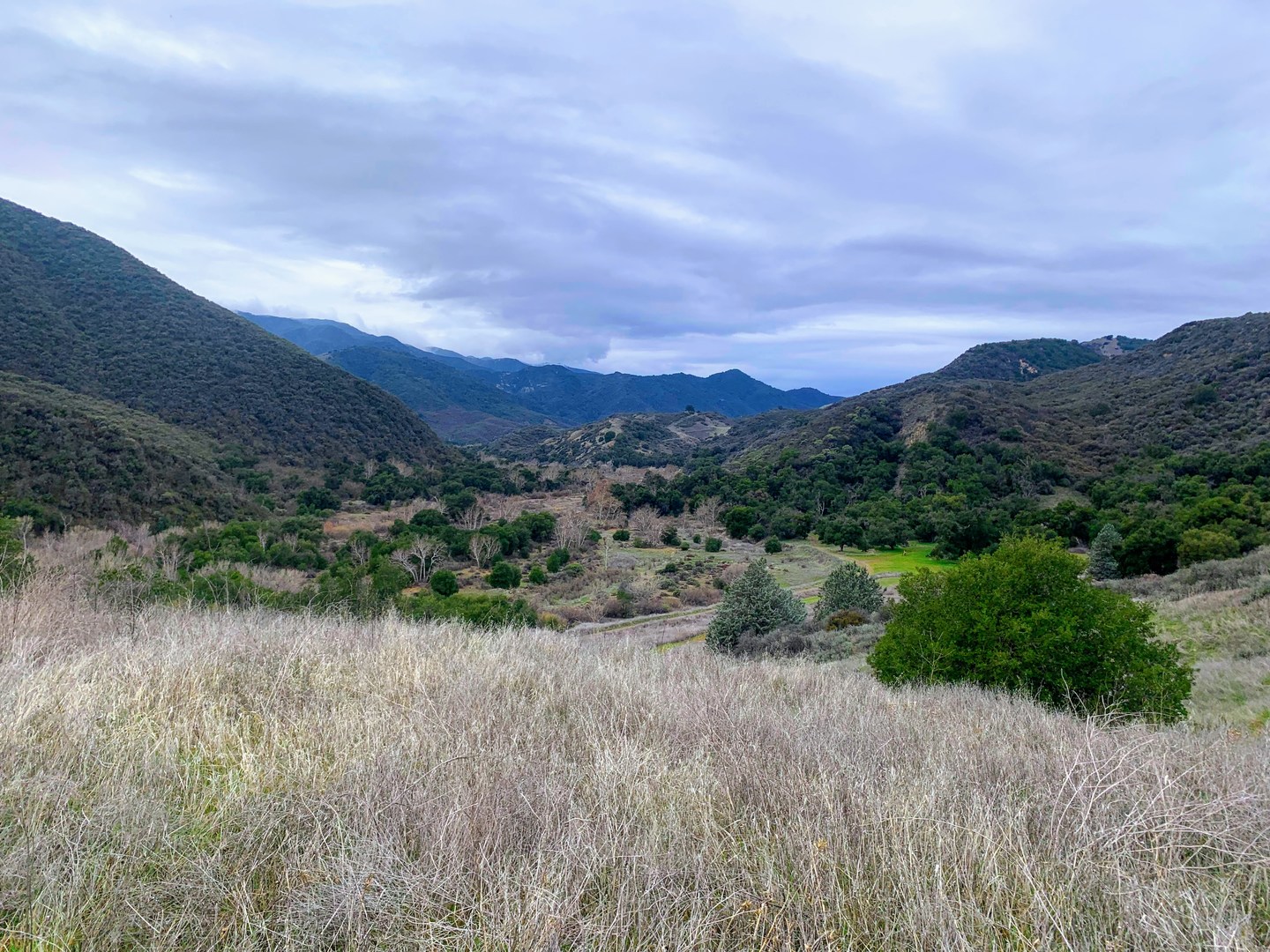 View of the valley where P-Bar Flats is located.