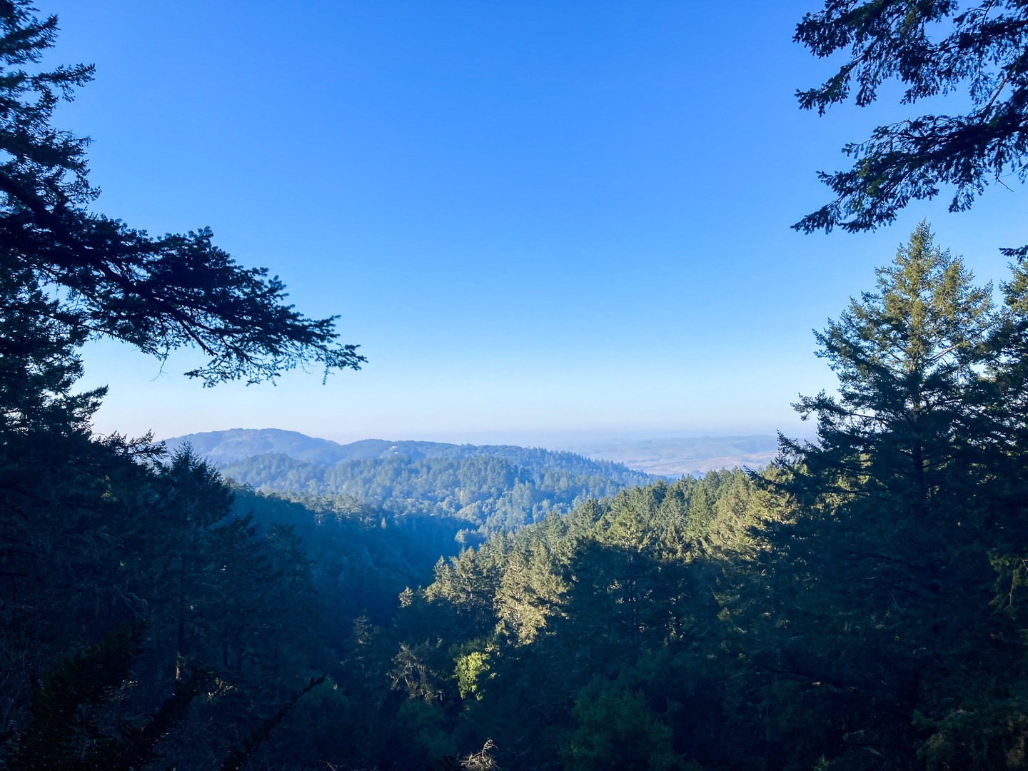 Views from Z Ranch Trail.