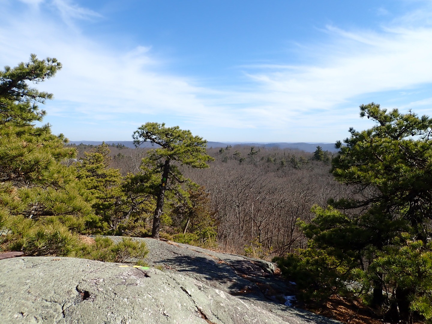 Bearfort Ridge view.