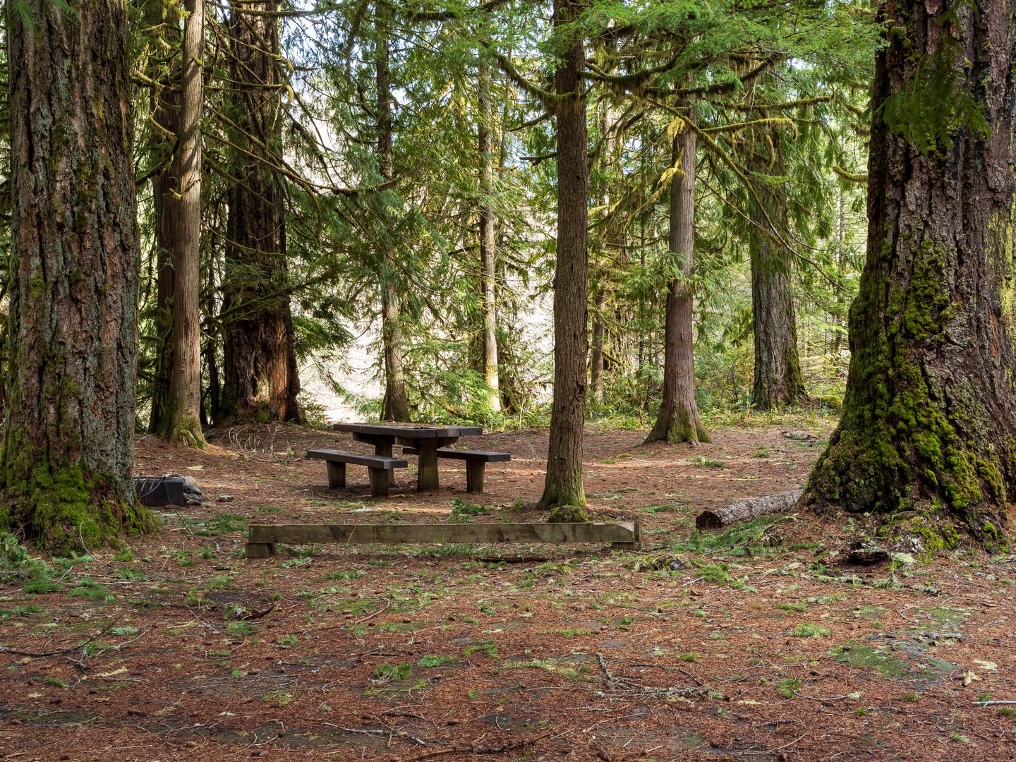 A typical campsite at Blue Pool Campground.