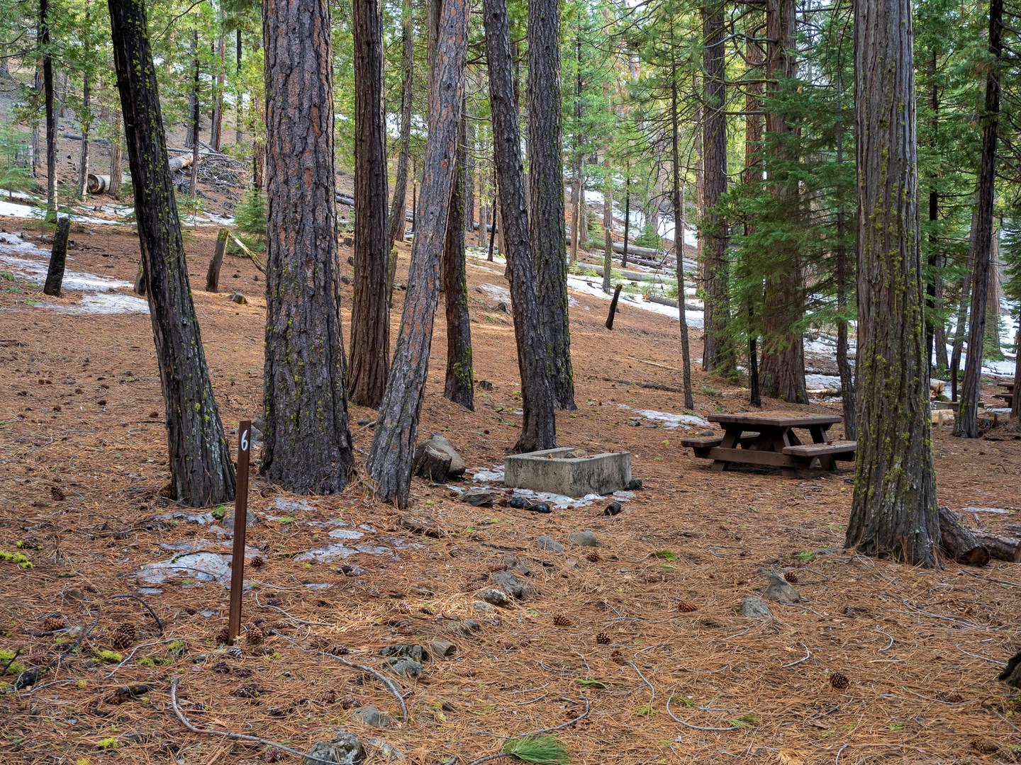 One of the walk in sites at Lower Rush Creek Campground.