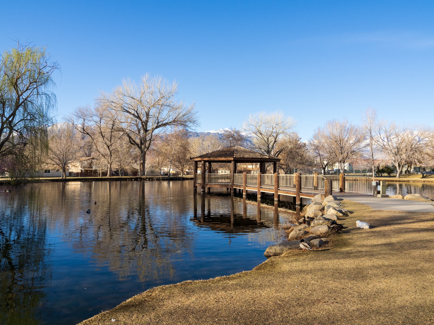 The centrally located pond.