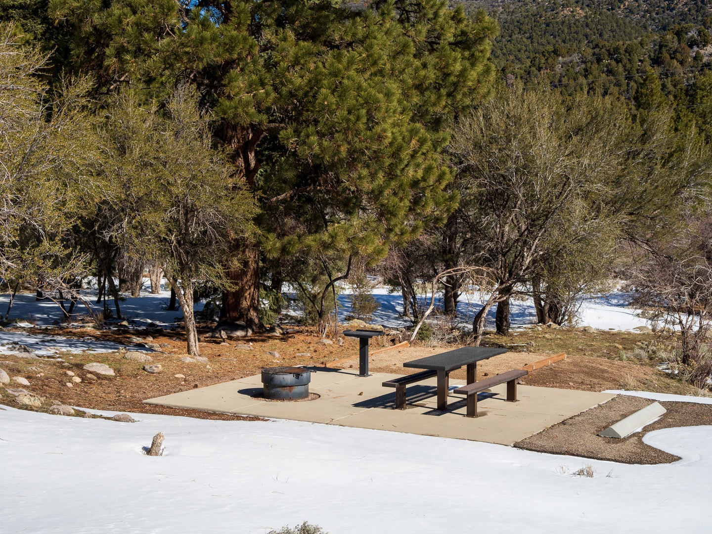 A typical campsite at Dean Gardner Campground.