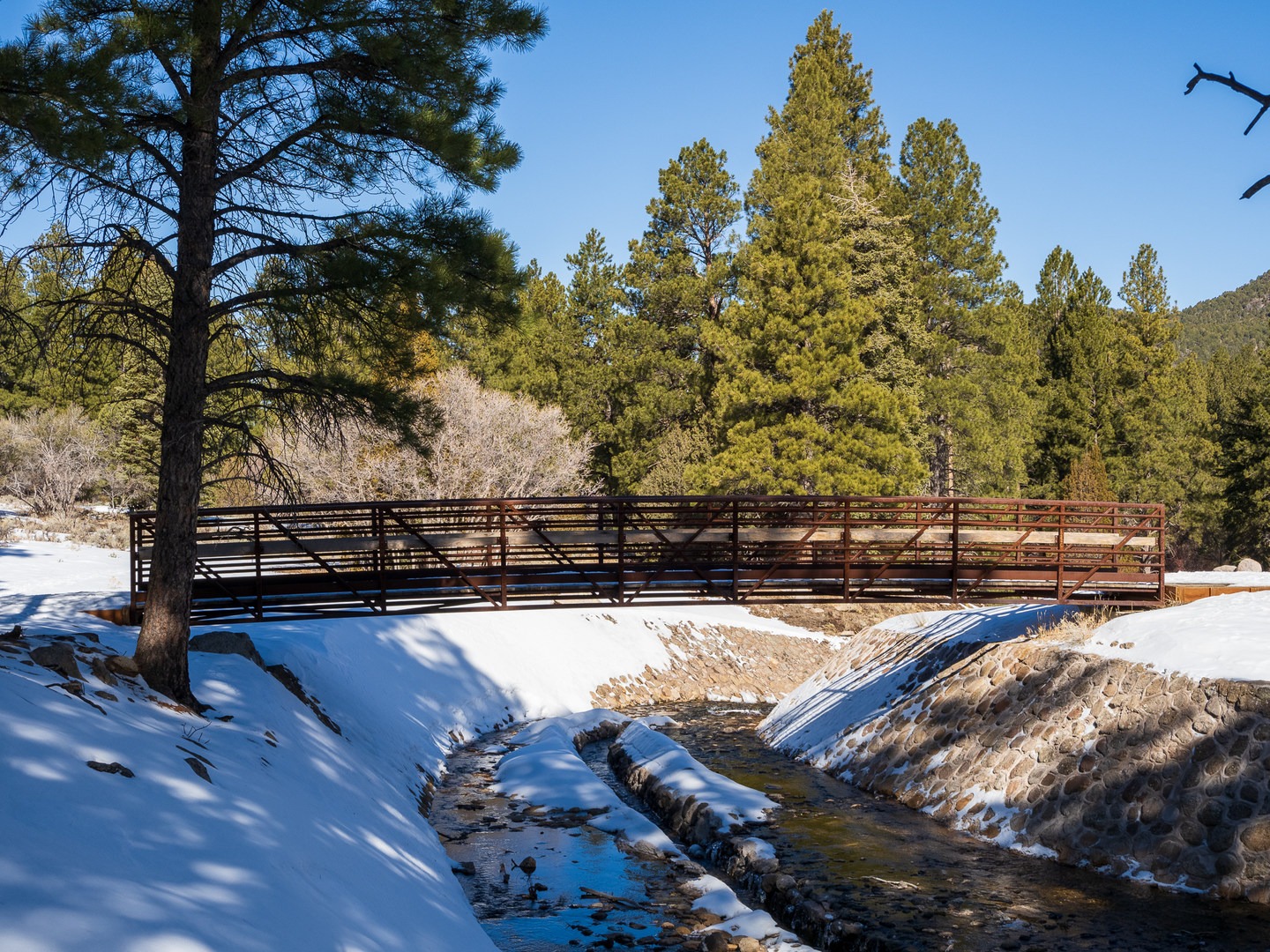 Footbridge across a small stream.