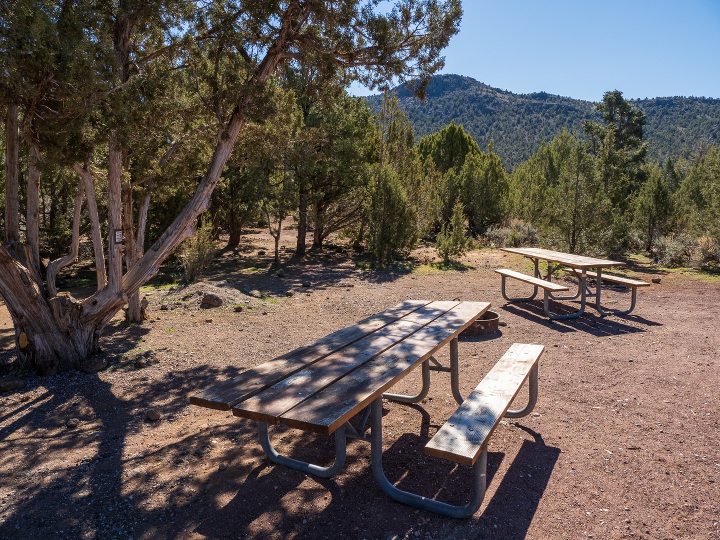 A typical campsite at Baker Dam Campground.