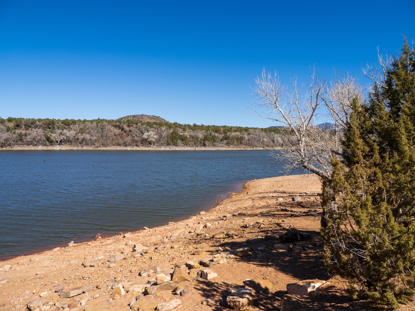 There is plenty of shoreline to fish at Baker Reservoir.