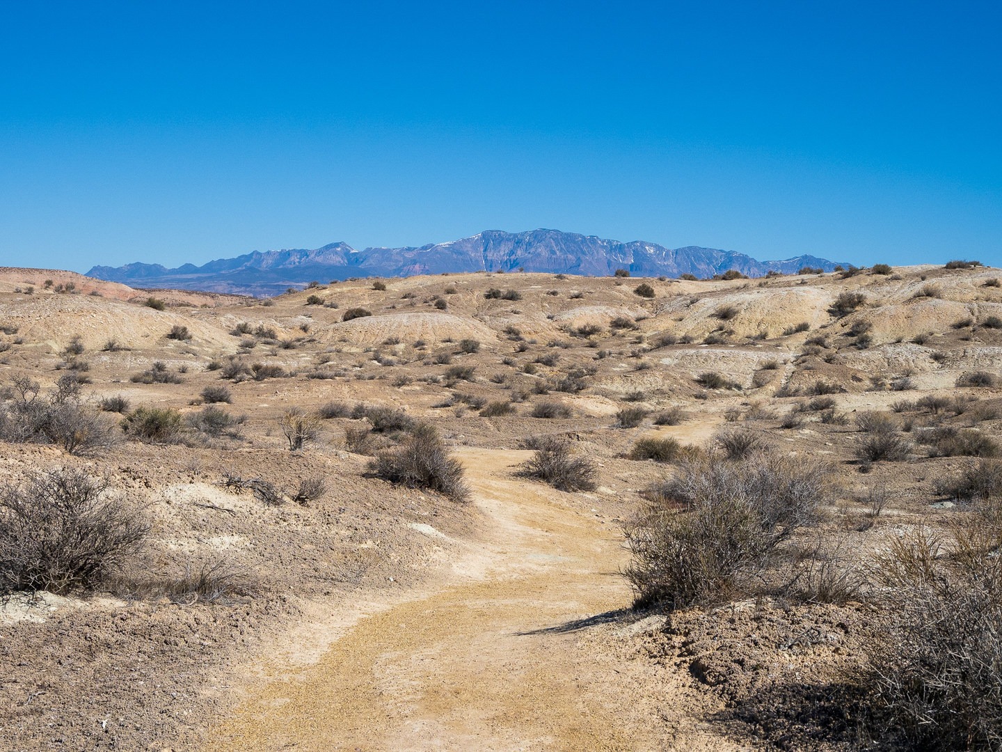 Hiking at the White Dome Nature Preserve.