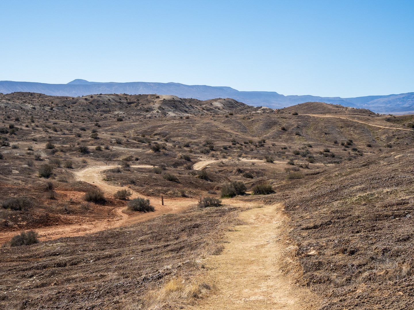 Hiking on the Biotic Loop.