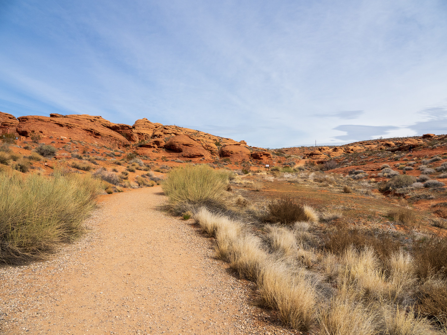Beginning the loop on the T Bone Trail.