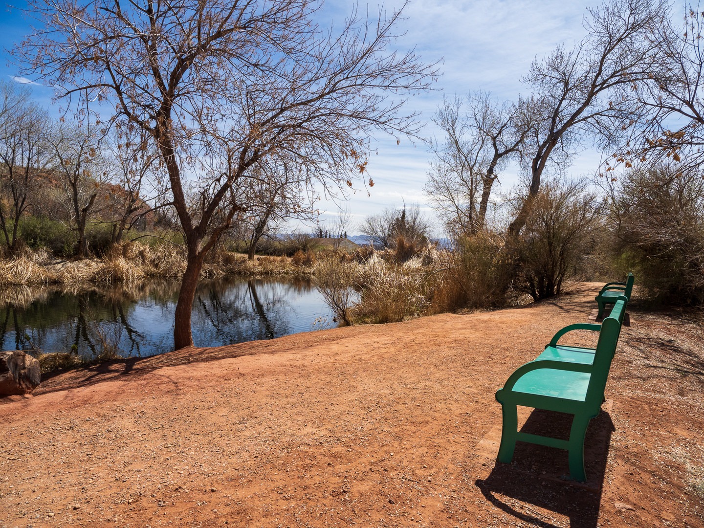 Benches near Cox Pond.