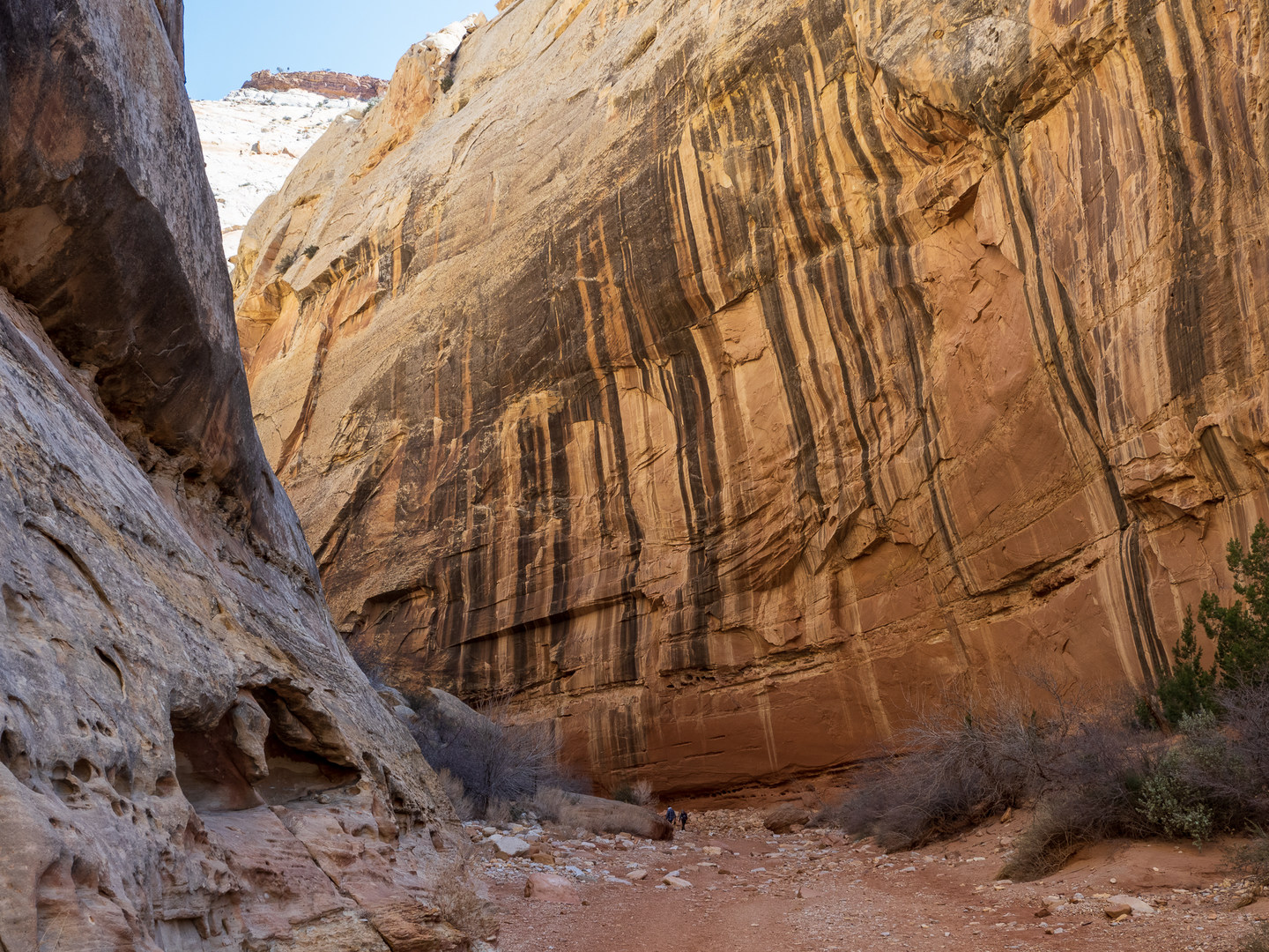 Hiking through the Grand Wash Narrows (notice the hikers for scale).