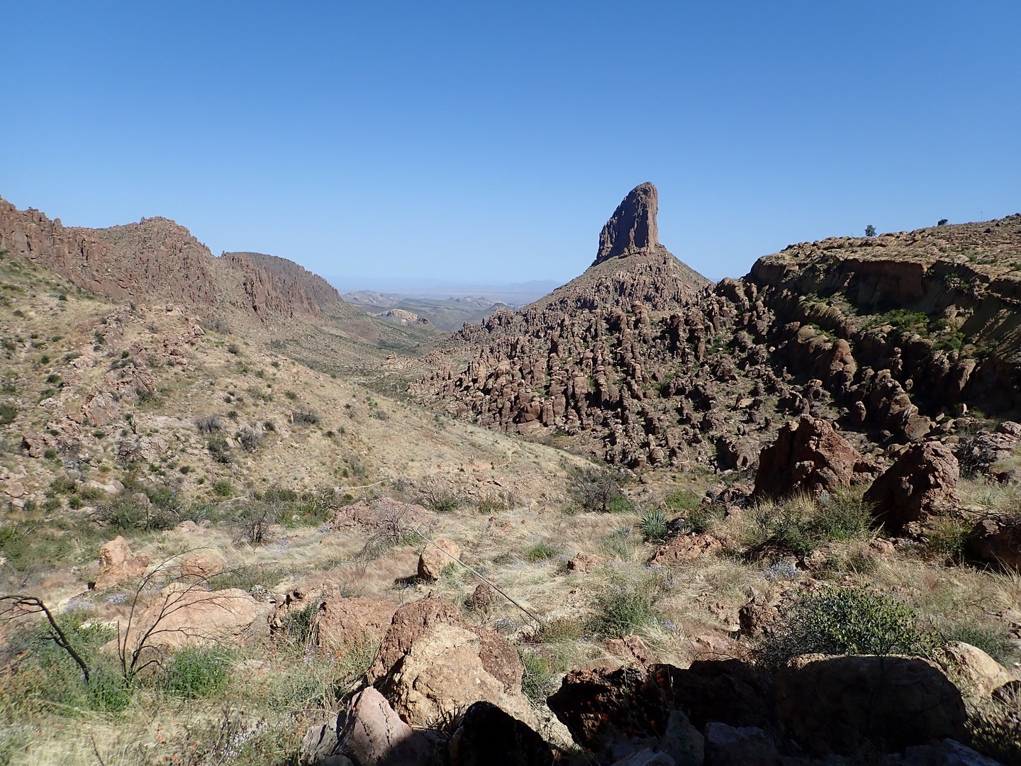 Peralta Trail past Fremont Saddle.