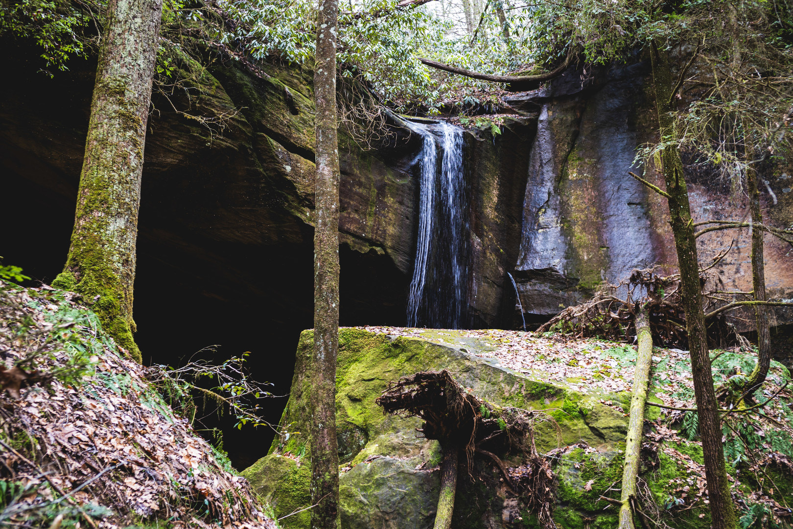 Beautiful water features along the trail.