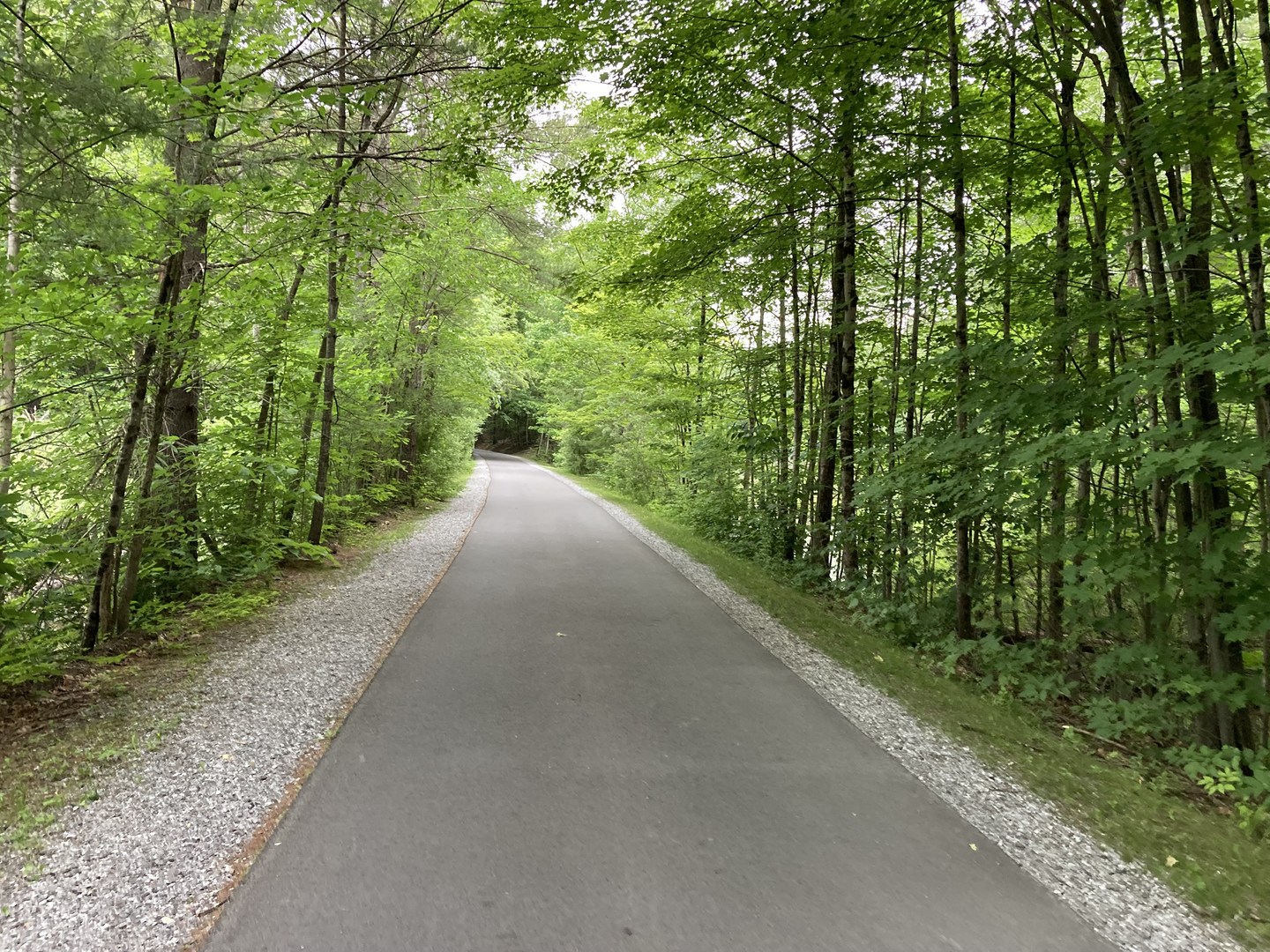 Ashuwillticook Rail Trail.