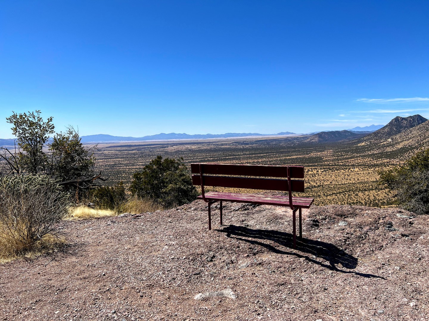 trailside bench with views.