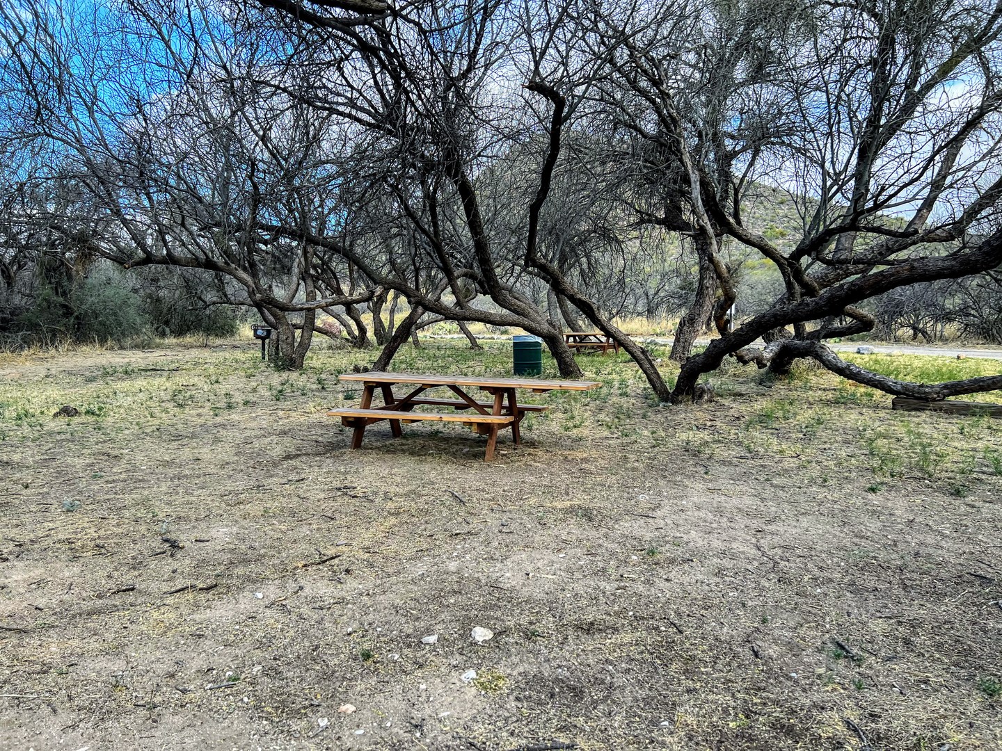 Picnic area.