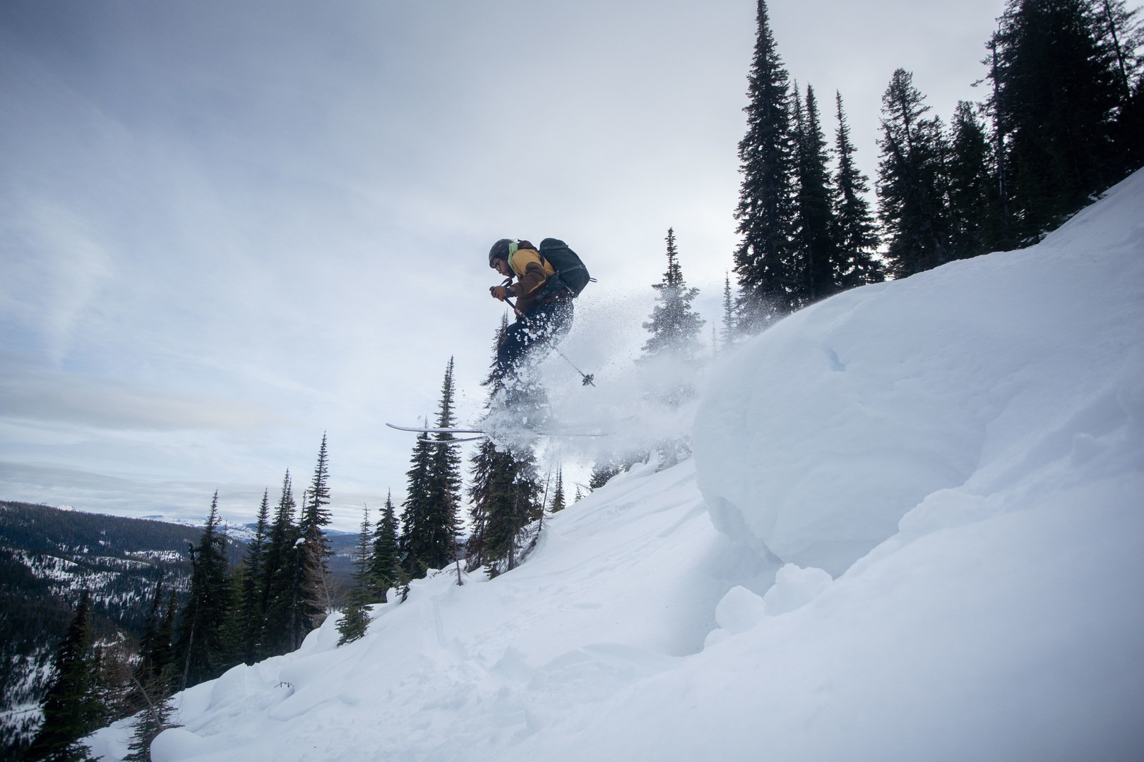 Getting sendy off a pillow.